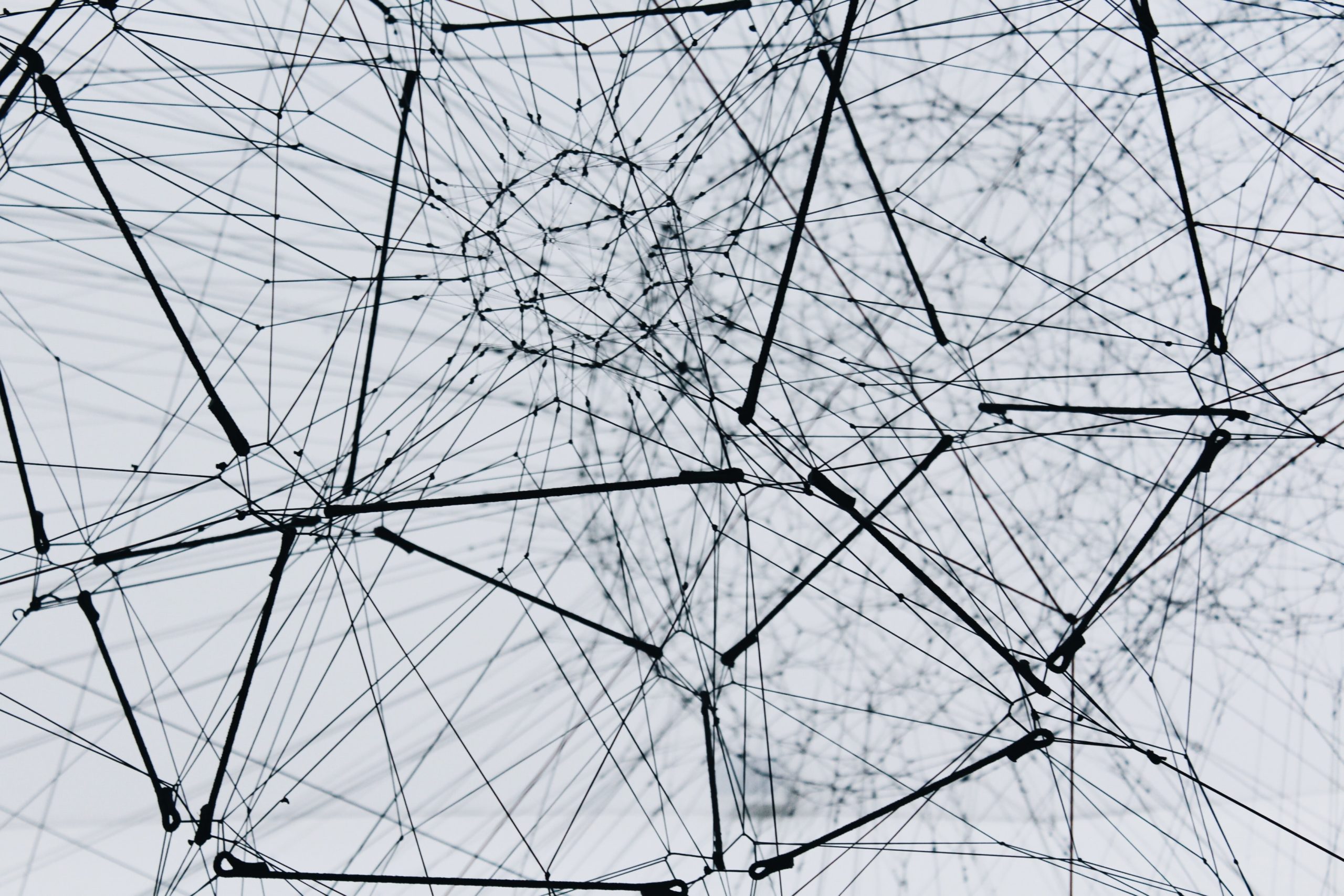 A representation of a (neural) network. Photo by Alina Grubnyak on Unsplash.